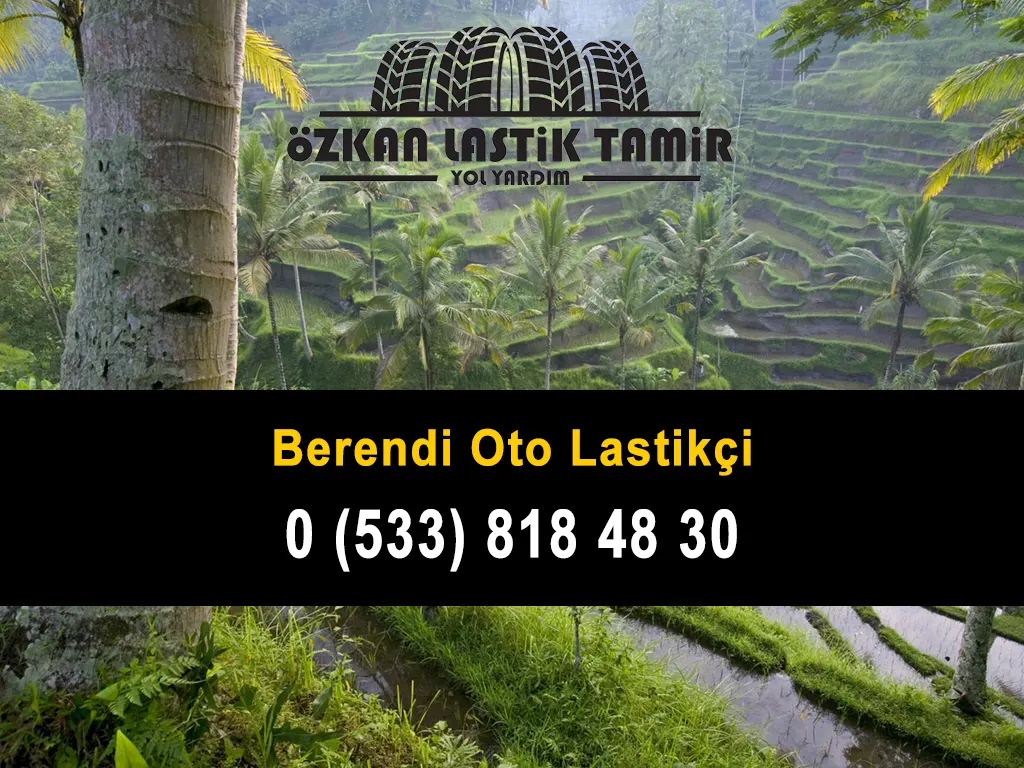 Berendi Oto Lastikçi