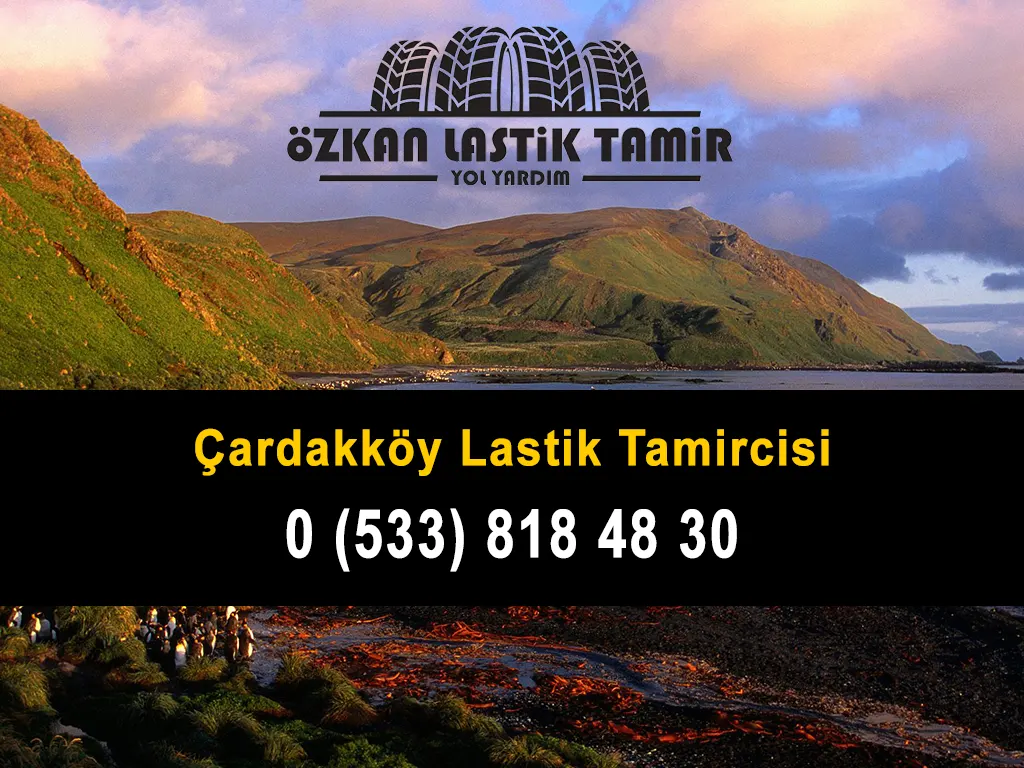 Çardakköy Lastik Tamircisi