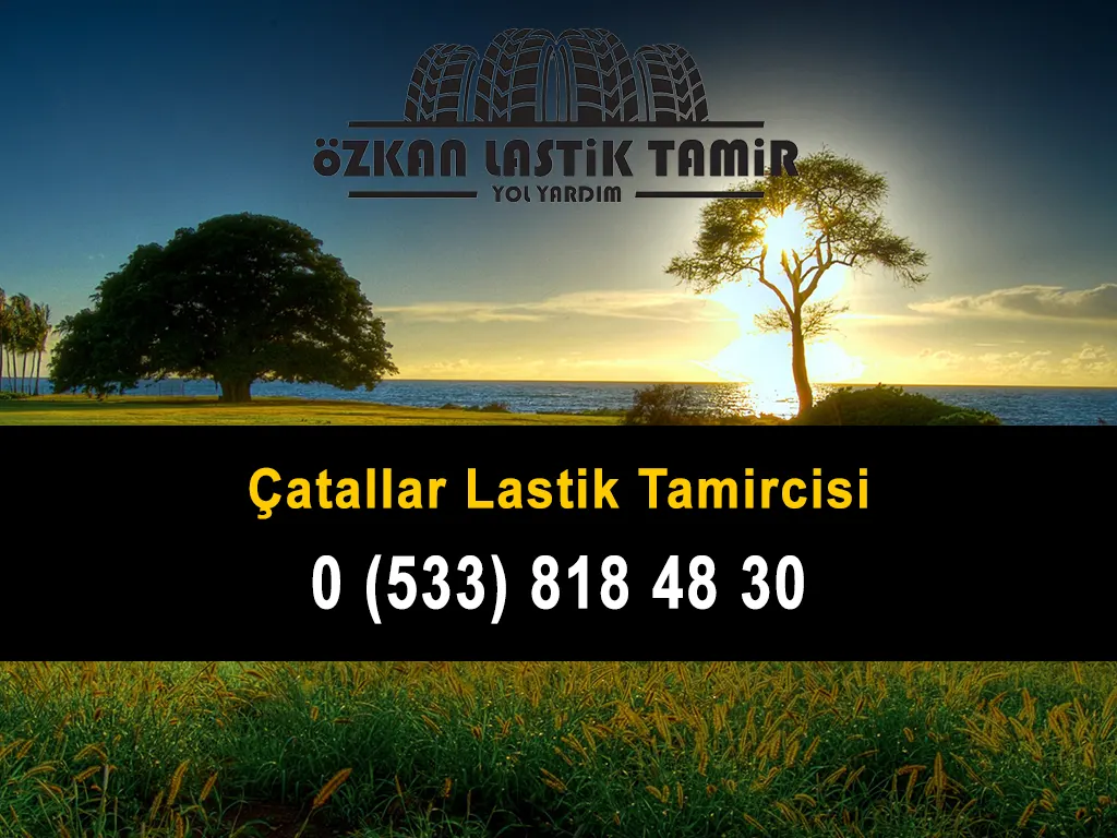 Çatallar Lastik Tamircisi