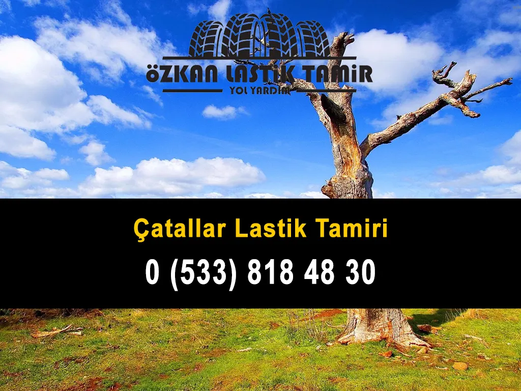 Çatallar Lastik Tamiri