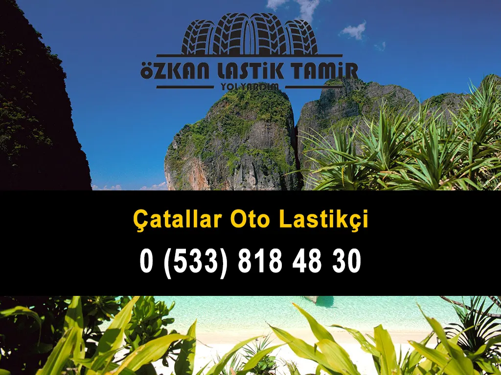 Çatallar Oto Lastikçi