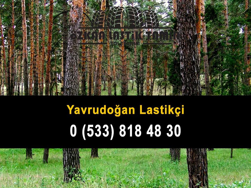 Yavrudoğan Lastikçi